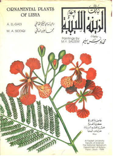 صورة نباتات الزينة الليبية